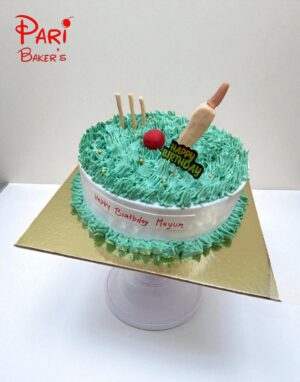 pb cricket 001