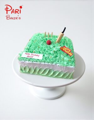 pb cricket 002