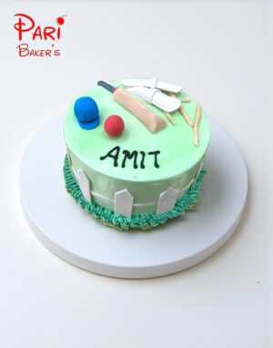 pb cricket 005