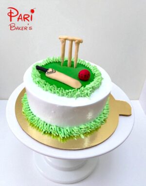 pb cricket 007