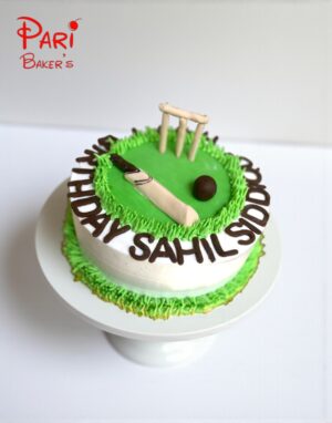 pb cricket 009