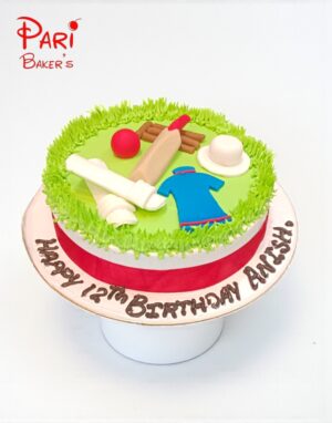 pb cricket 013