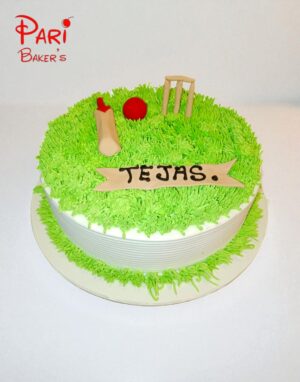 pb cricket 016