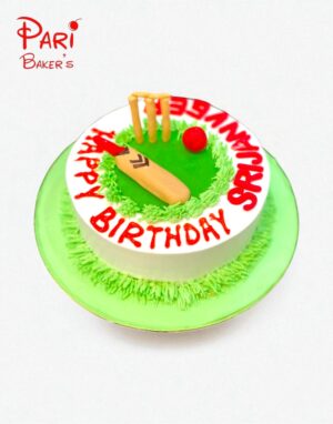 pb cricket 021