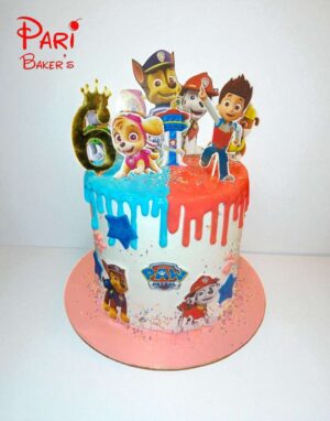 pb pawpatrol 001
