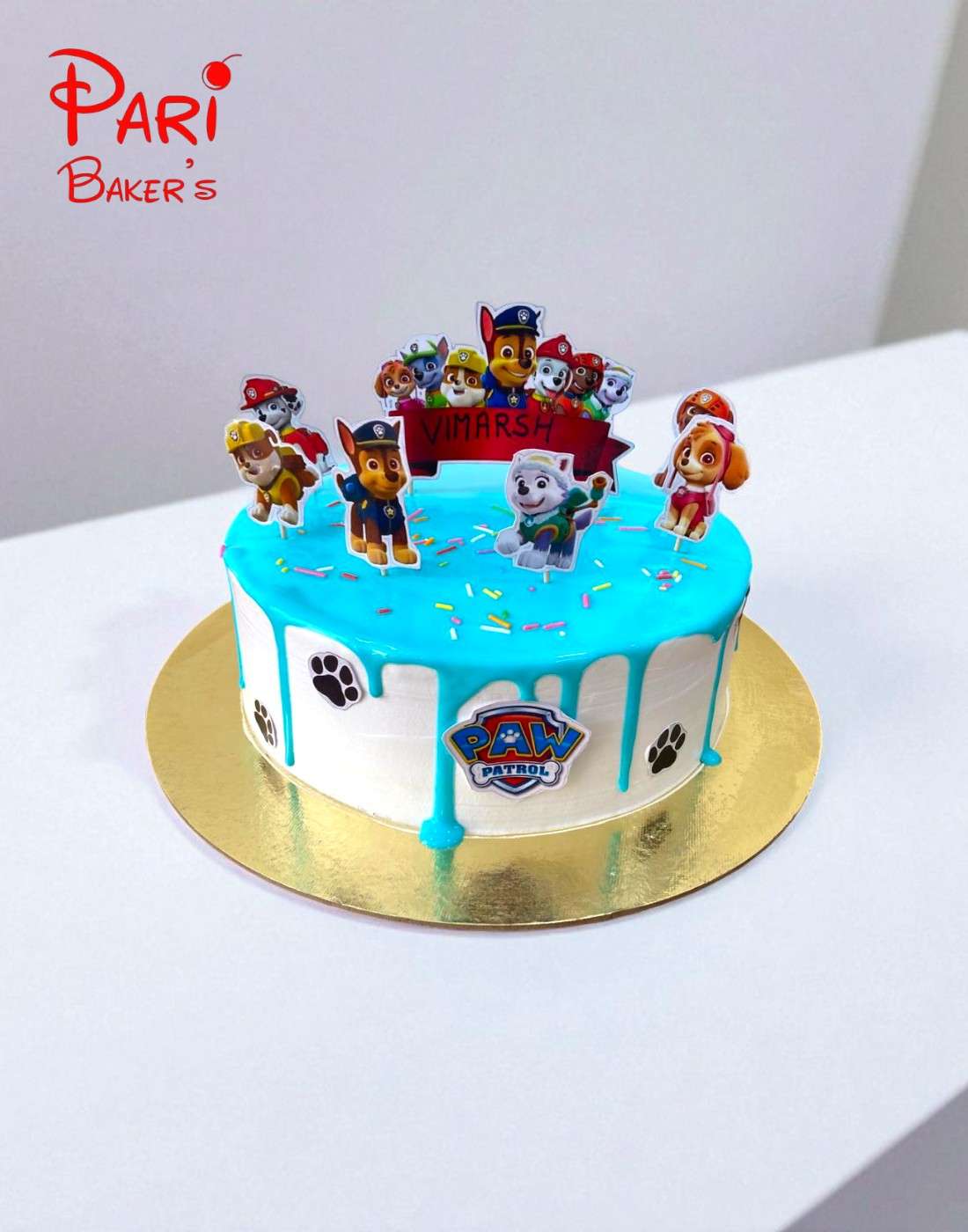pb pawpatrol 002