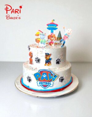 pb pawpatrol 003