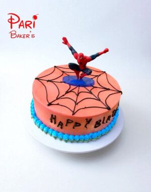 pb spiderman 011