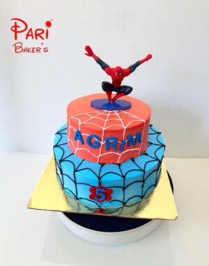 pb spiderman 017